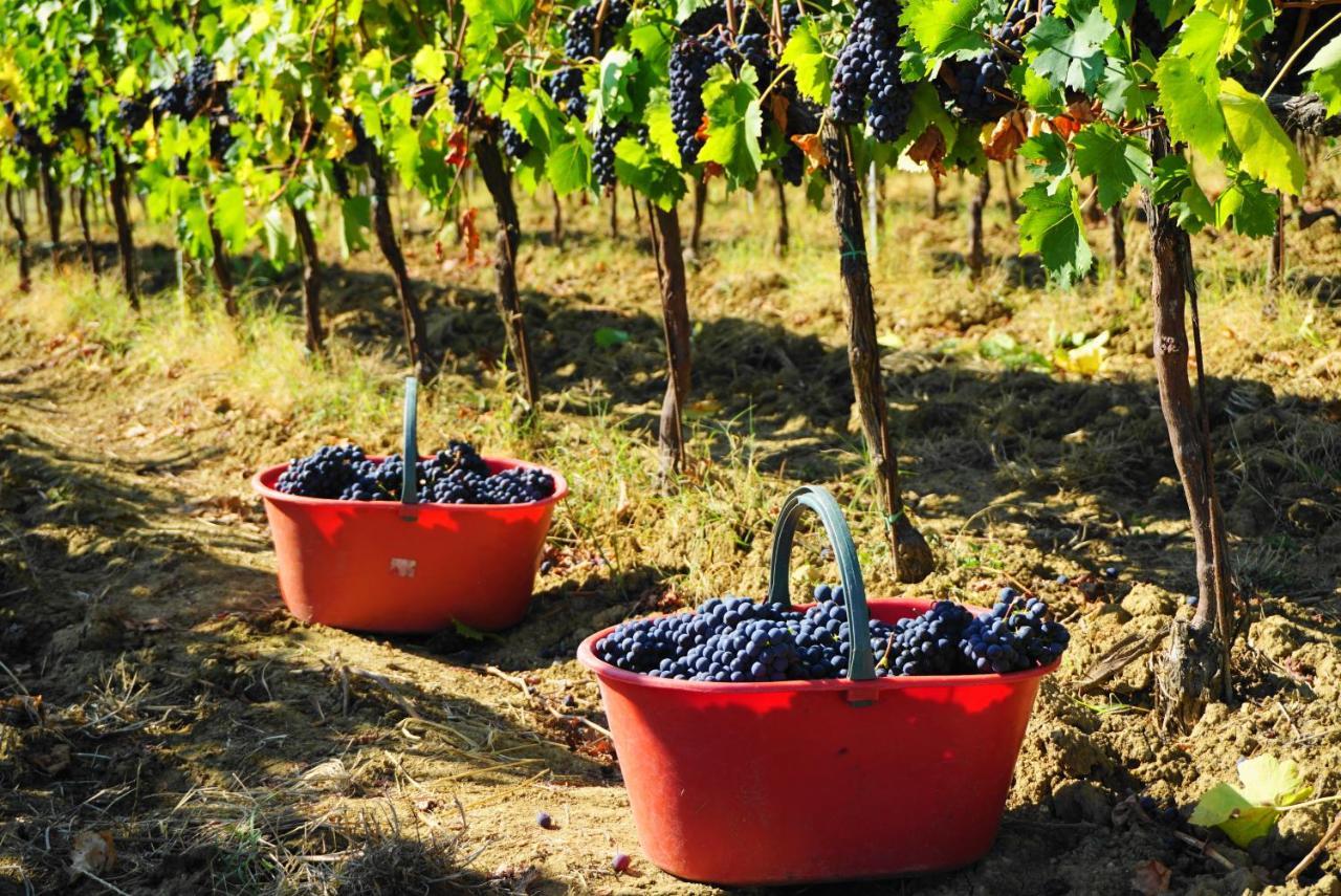 Fattoria Lornano Winery *