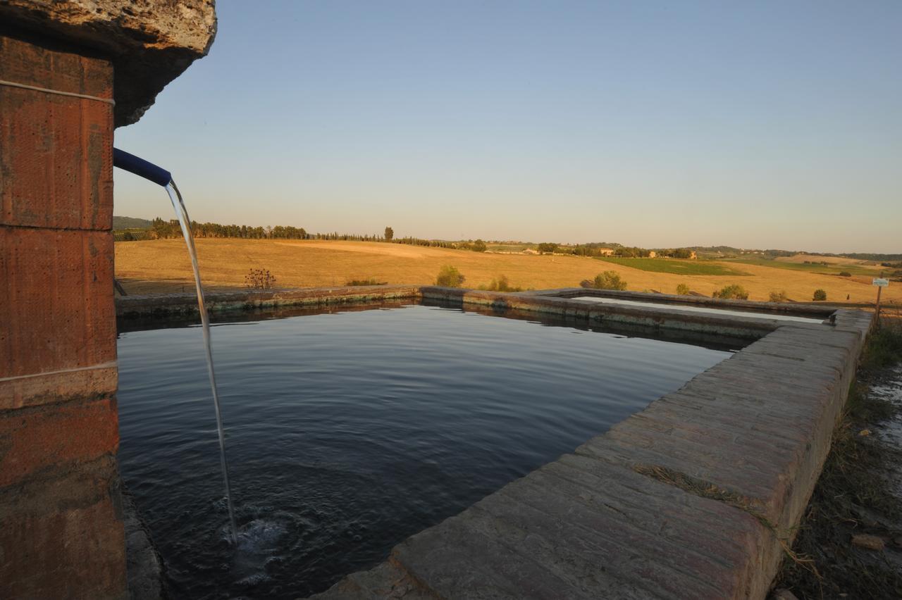 Bauernhof Fattoria Lornano Winery Monteriggioni