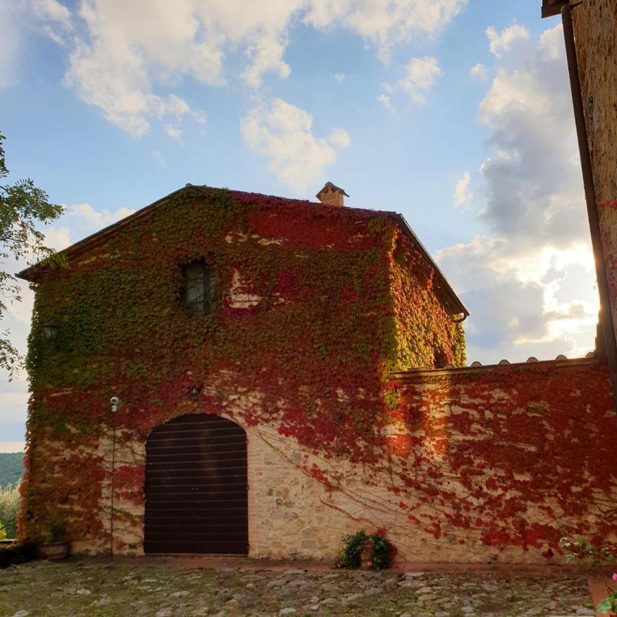 Fattoria Lornano Winery * Monteriggioni