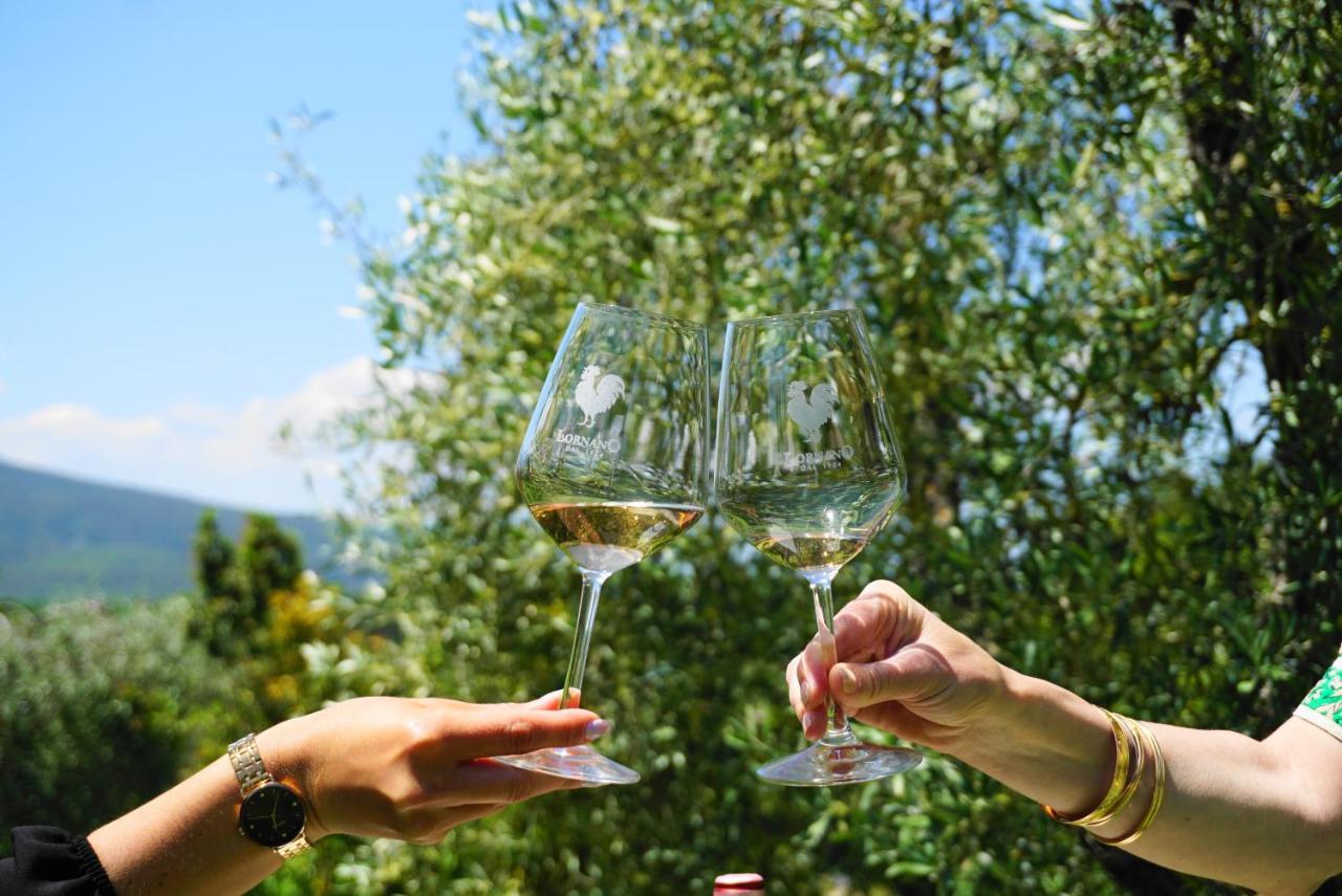 Fattoria Lornano Winery * Monteriggioni