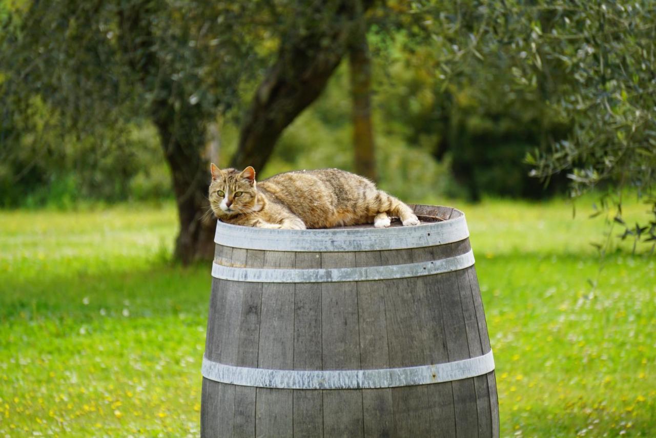 Fattoria Lornano Winery * Monteriggioni