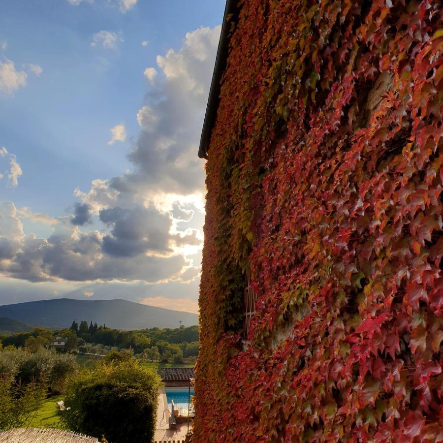 Fattoria Lornano Winery * Monteriggioni