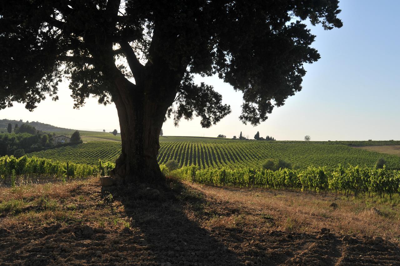 Fattoria Lornano Winery Monteriggioni